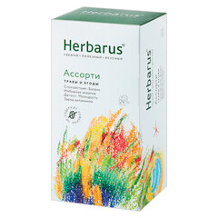 Чай HERBARUS &laquo;Ассорти&raquo; травяной, 24 пакетика в конвертах по 1,8 г