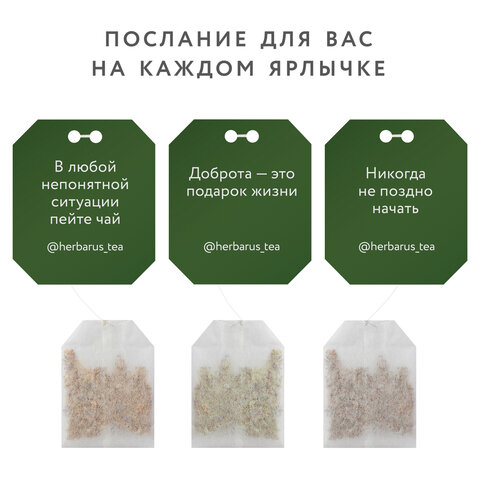 Чай HERBARUS "Grand Secret" ассорти 12 вкусов, НАБОР 60 пакетиков - фото 2