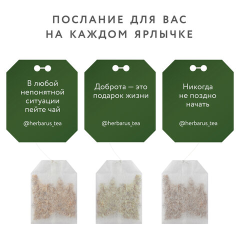 Чай HERBARUS "Secret Holiday" ассорти 4 вкуса, 24 пакетика в конвертах - фото 2