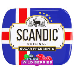 Драже освежающие SCANDIC без сахара со вкусом "Лесные ягоды", 14 г