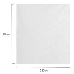 Салфетка одноразовая белая 25&times;30 см, КОМПЛЕКТ 100 шт., спанлейс, 40 г/<wbr/>м<sup>2</sup>, ЧИСТОВЬЕ