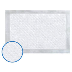 Пеленки-простыни впитывающие 60&times;40 см, ПЕЛИГРИН &laquo;Classic&raquo;, КОМПЛЕКТ 30 шт., 5 слоев, одноразовые