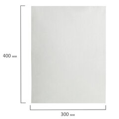 Салфетка одноразовая белая в рулоне 100 шт., 30&times;40 см, спанлейс 40 г/<wbr/>м<sup>2</sup>, ЧИСТОВЬЕ