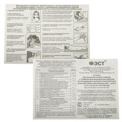 Аптечка первой помощи автомобильная, по приказу № 260н, ФЭСТ, пластиковый кейс