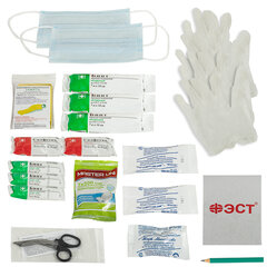 Аптечка первой помощи автомобильная, по приказу № 260н, ФЭСТ, пластиковый кейс