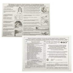 Аптечка для детских и учебных учреждений, по приказу №261н, ФЭСТ, пластиковый кейс