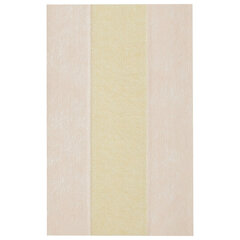 Лейкопластырь бактерицидный 6&times;10 см телесного цвета на нетканой основе, LEIKO