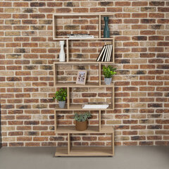 Стеллаж BRABIX &laquo;Scandi SH-008&raquo;, 730&times;250&times;1760 мм, 6 секций, ЛДСП, дуб сонома, 641898