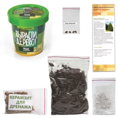 Набор для выращивания растений ВЫРАСТИ ДЕРЕВО! &laquo;Кедр Сибирский&raquo; (банка, грунт, семена), zk-001