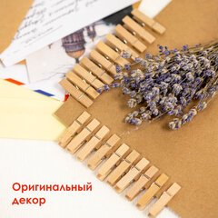 Прищепки декоративные &laquo;Классика&raquo;, 20 штук, 3,5 см, дерево, ОСТРОВ СОКРОВИЩ, 661288