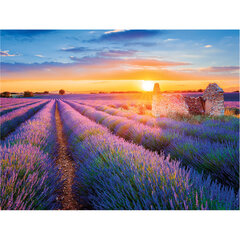 Картина стразами (алмазная мозаика) 40&times;50 см, ОСТРОВ СОКРОВИЩ &laquo;Лавандовое поле&raquo;, на подрамнике, 662426