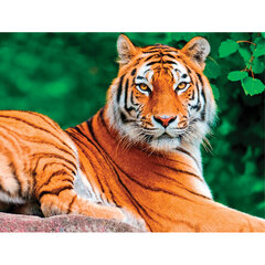 Картина стразами (алмазная мозаика) 40&times;50 см, ОСТРОВ СОКРОВИЩ &laquo;Тигр&raquo;, на подрамнике, 662427