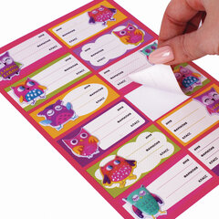 Наклейки для маркировки школьных принадлежностей &laquo;Совы&raquo;, 12 штук, 14&times;21 см, ЮНЛАНДИЯ, 662710