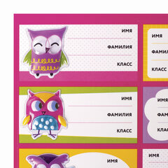 Наклейки для маркировки школьных принадлежностей &laquo;Совы&raquo;, 12 штук, 14&times;21 см, ЮНЛАНДИЯ, 662710