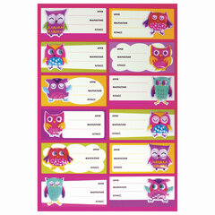 Наклейки для маркировки школьных принадлежностей &laquo;Совы&raquo;, 12 штук, 14&times;21 см, ЮНЛАНДИЯ, 662710