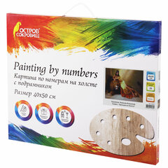 Картина по номерам 40&times;50 см, ОСТРОВ СОКРОВИЩ &laquo;Принцесса Египта&raquo;, на подрамнике, акрил, кисти, 663272