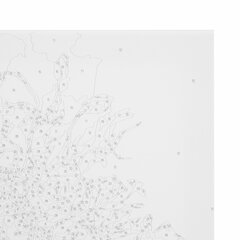 Картина по номерам 40&times;50 см, ОСТРОВ СОКРОВИЩ &laquo;Маки&raquo;, на подрамнике, акрил, кисти, 663274