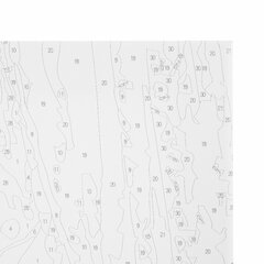 Картина по номерам 40&times;50 см, ОСТРОВ СОКРОВИЩ &laquo;Букет с гладиолусами&raquo;, на подрамнике, акрил, кисти, 663275