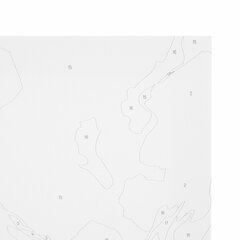 Картина по номерам 40&times;50 см, ОСТРОВ СОКРОВИЩ &laquo;Бело-розовые розы&raquo;, на подрамнике, акрил, кисти,663286