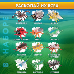 Набор для раскопок "Насекомые", 12 видов, карточки, инструменты, BRAUBERG KIDS, 665127