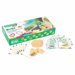 Набор для раскопок &laquo;Насекомые&raquo;, 12 видов, карточки, инструменты, BRAUBERG KIDS, 665127