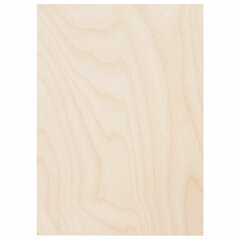 Заготовки для творчества, деревянные, без рисунков, 5 шт., 15&times;21 см, BRAUBERG HOBBY, 665312