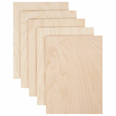 Заготовки для творчества, деревянные, без рисунков, 5 шт., 15&times;21 см, BRAUBERG HOBBY, 665312