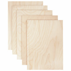 Заготовки для творчества, деревянные, без рисунков, 5 шт., 21&times;30 см, BRAUBERG HOBBY, 665313