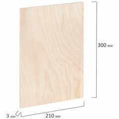 Заготовки для творчества, деревянные, без рисунков, 5 шт., 21&times;30 см, BRAUBERG HOBBY, 665313