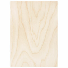 Заготовки для творчества, деревянные, без рисунков, 5 шт., 21&times;30 см, BRAUBERG HOBBY, 665313