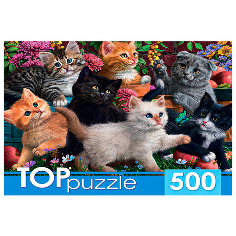 Пазл картонный 500 элементов АССОРТИ, 14 дизайнов, 330х480мм, HATBER