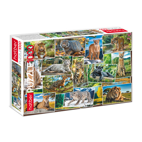 Пазл картонный 1000 элементов АССОРТИ, 10 дизайнов, 480х680мм, HATBER