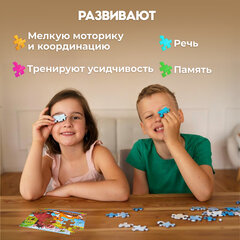 Пазлы картонные 12 элементов, КОМПЛЕКТ 30 шт., поле 17,5х13 см, РК
