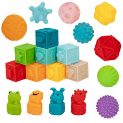 Тактильные мячики, кубики с функцией сортера и животные, ЭКО, МЕГА НАБОР 20 штук, BAMBOX BABY (БАМБОКС БЭБИ), 665902