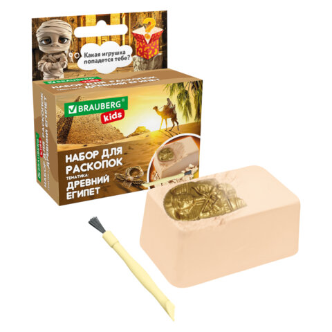 Набор для раскопок 5х8 см, инструменты, 6 видов ассорти, BRAUBERG KIDS, 665915 - фото 4