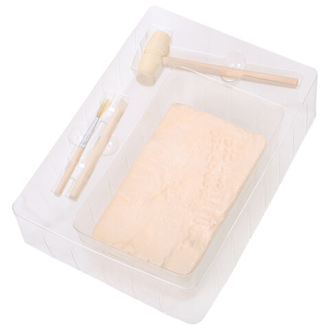 Набор для раскопок 17х21 см, инструменты, 6 видов ассорти, BRAUBERG KIDS, 665917 - фото 3