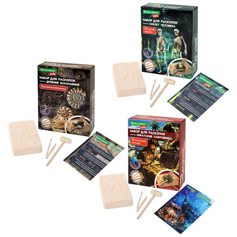 Набор для раскопок 17х21 см, инструменты, 6 видов ассорти, BRAUBERG KIDS, 665917 - фото 2