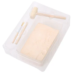 Набор для раскопок &laquo;Пиратский клад&raquo; 17&times;21,5 см, инструменты, BRAUBERG KIDS, 665928