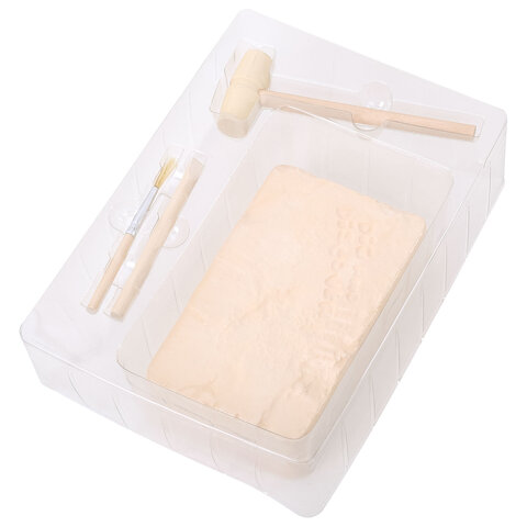 Набор для раскопок "Пиратский клад" 17x21,5 см, инструменты, BRAUBERG KIDS, 665928 - фото 2