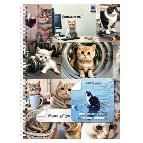 Стикербук ПРОСТО НАКЛЕЙ А6 16 листов 96 цветных стикеров, на гребне, BRAUBERG, Коты мемы, 666050