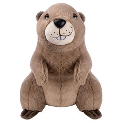 Мягкая игрушка &laquo;ПУХЛЯШИ&raquo;, ассорти, высота 46-50 см, FANCY