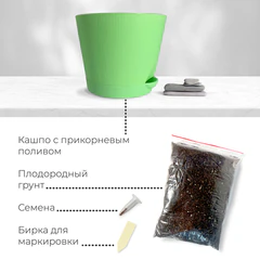 Набор для выращивания растений МАГИЯ ЦВЕТОВ "Кактусы микс" (горшок, грунт, семена), mf-003