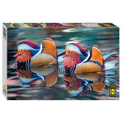 Пазл картонный, 500 элементов, АССОРТИ, поле 50&times;34,5 см, STEP PUZZLE