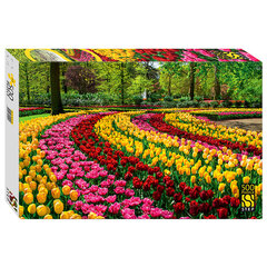 Пазл картонный, 500 элементов, АССОРТИ, поле 50&times;34,5 см, STEP PUZZLE