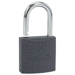 Замок навесной чугунный 25 мм &laquo;Стандарт&raquo;, 2 ключа, ГРАНДМАСТЕР, 671289