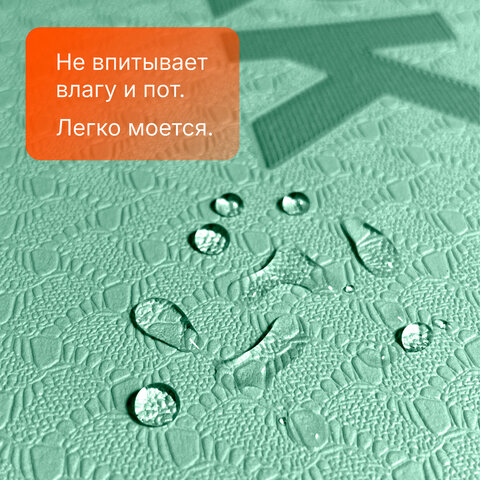 Коврик для йоги и фитнеса двухцветный, ТПЭ, 183x61x0,6 см, светло-зеленый/чёрный, DASWERK, 680031