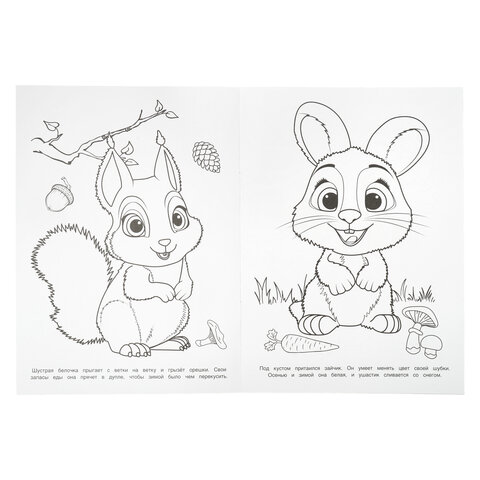 Книжка-раскраска "ПОПУЛЯРНЫЕ СЮЖЕТЫ" АССОРТИ, 214х290 мм, 16 страниц, "УМКА" - фото 37