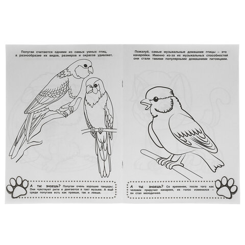 Книжка-раскраска "ПОПУЛЯРНЫЕ СЮЖЕТЫ" АССОРТИ, 214х290 мм, 16 страниц, "УМКА" - фото 8