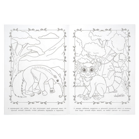 Книжка-раскраска "ЛИЦЕНЗИОННЫЕ СЮЖЕТЫ", АССОРТИ, 210х290 мм, 16 страниц, "УМКА" - фото 20