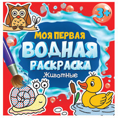 Раскраски водные &laquo;МОЯ ПЕРВАЯ ВОДНАЯ РАСКРАСКА&raquo;, КОМПЛЕКТ 5 шт., 195&times;195 мм, 12 стр., ПП